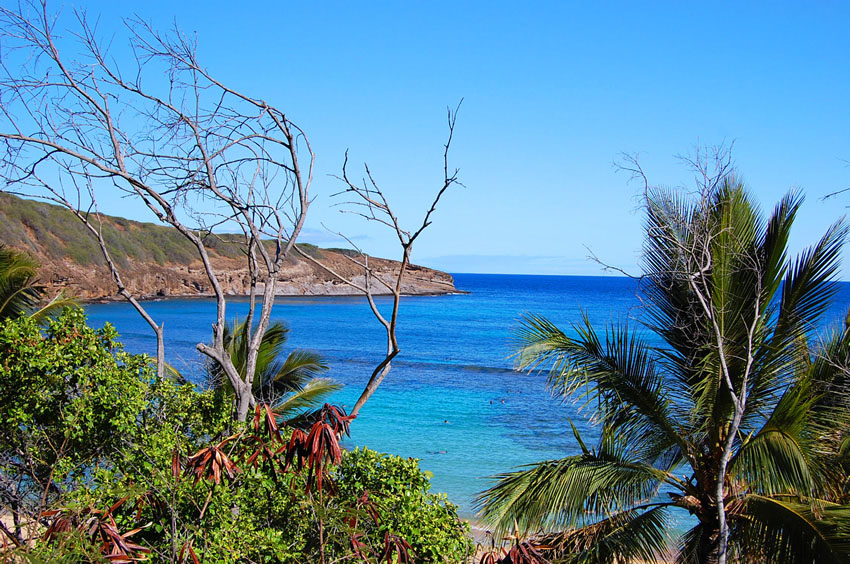 View from the Beach Trail