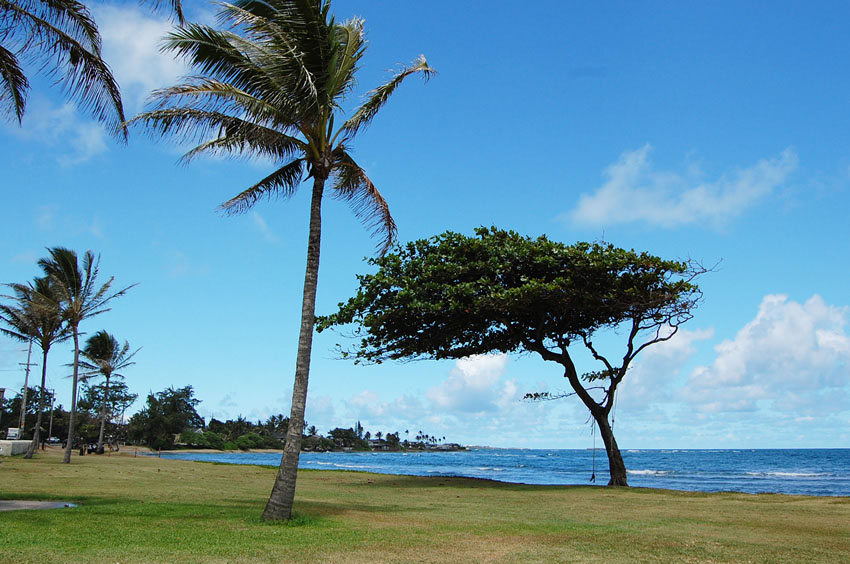 Park Area