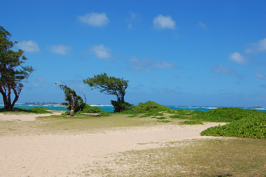Beach in Laie