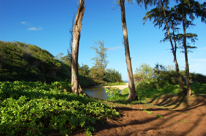 Hukilau Beach Park 04