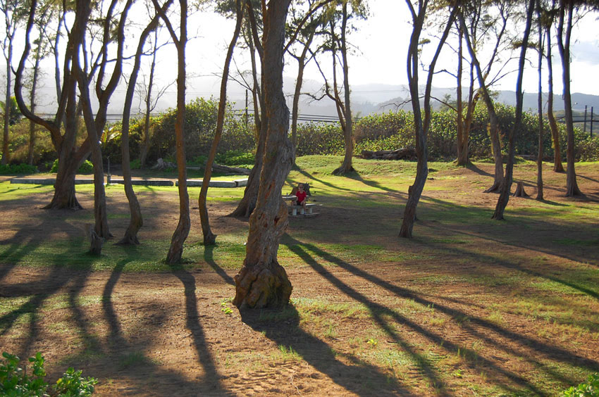 Hukilau Beach Park 07