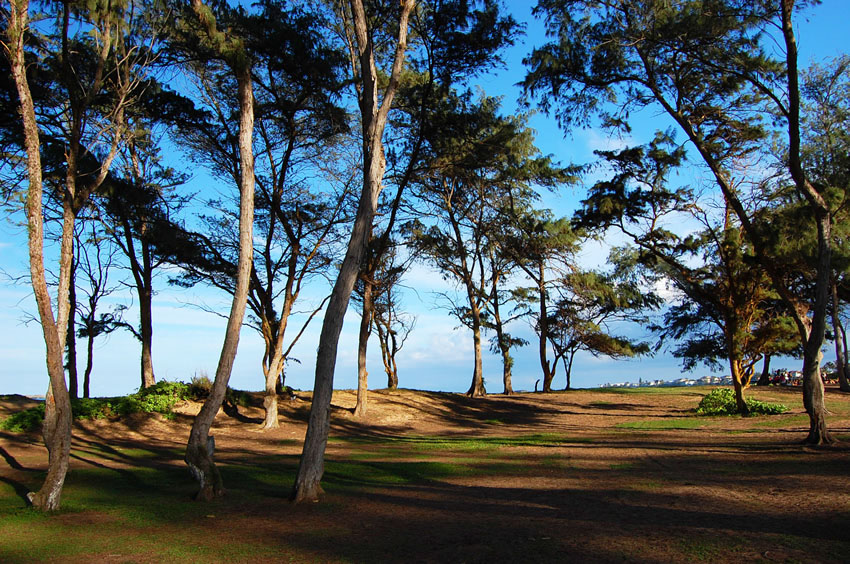 Hukilau Beach Park 08
