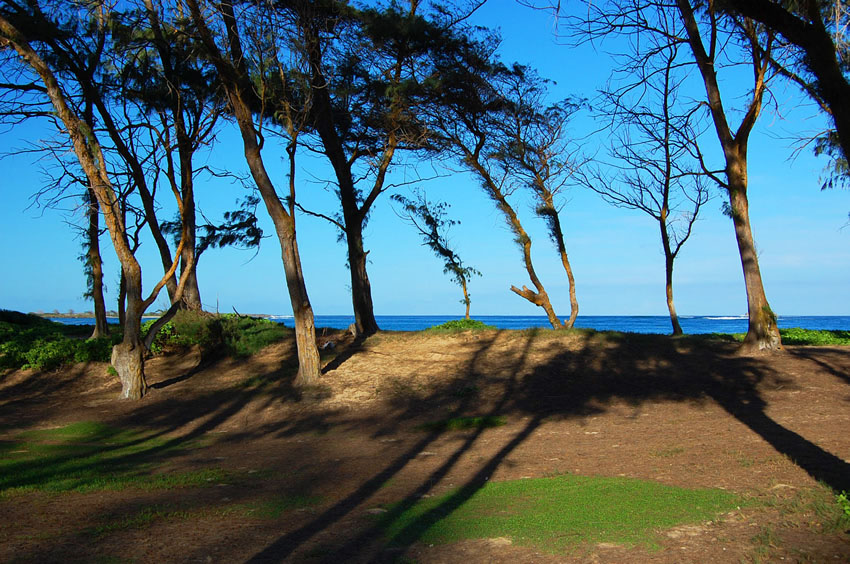 Hukilau Beach Park 11