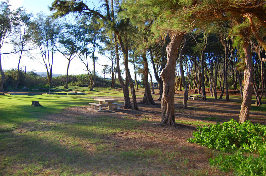 Hukilau Beach Park 13