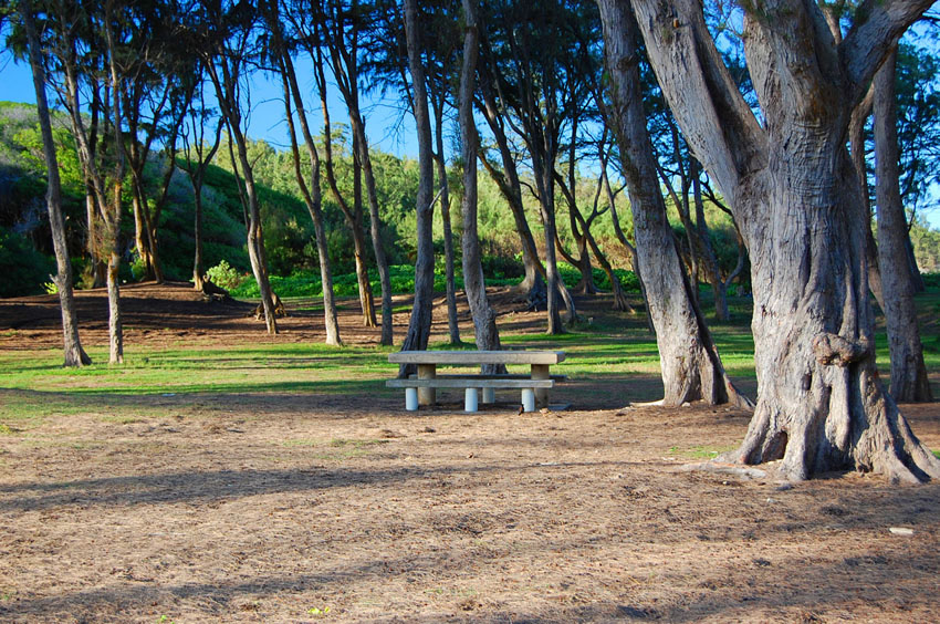 Hukilau Beach Park 15