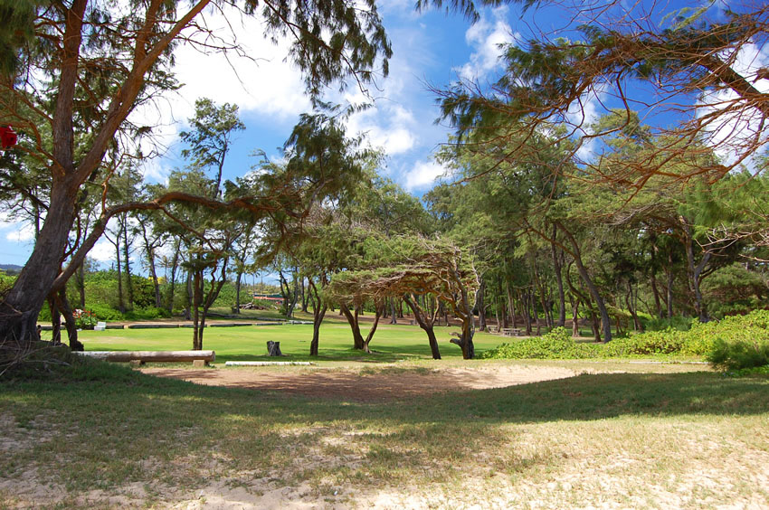 Scenic Park
