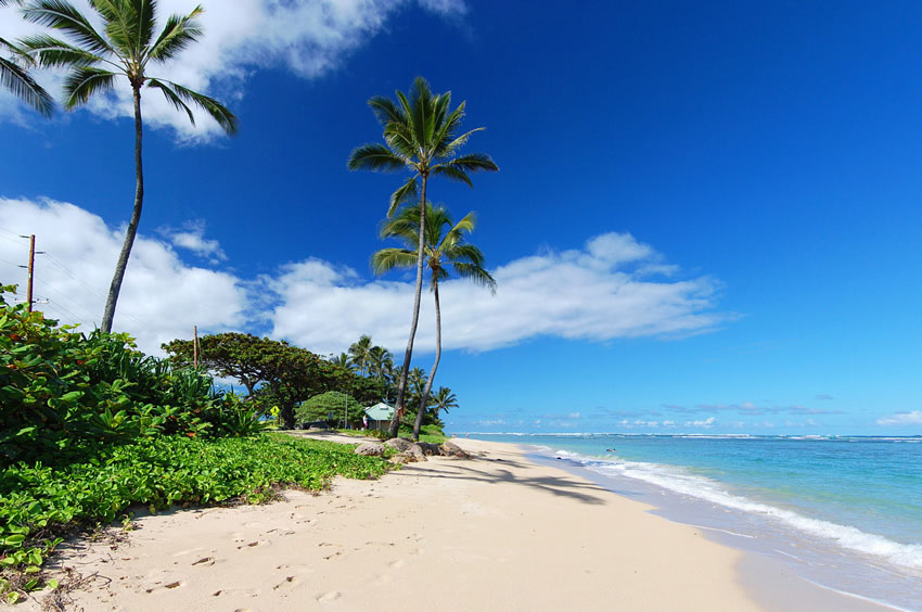 Scenic Ka'a'awa Beach View