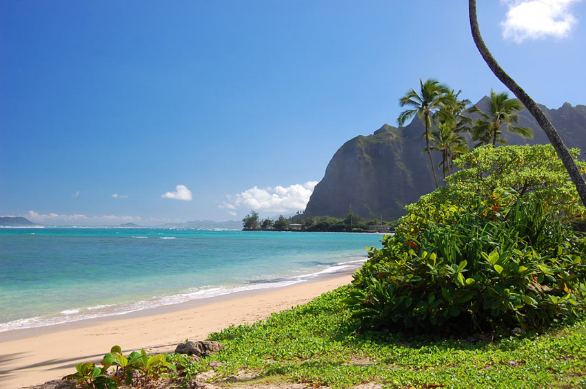 Scenic Shoreline
