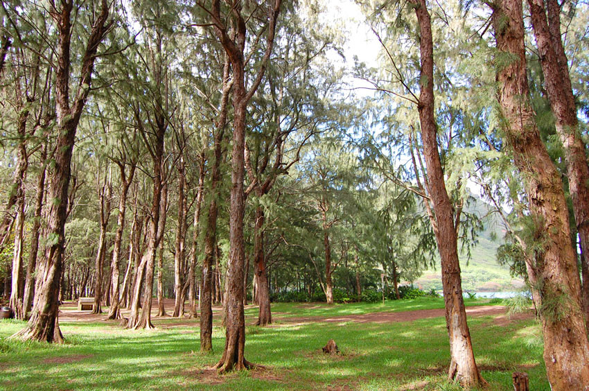 Beach Park