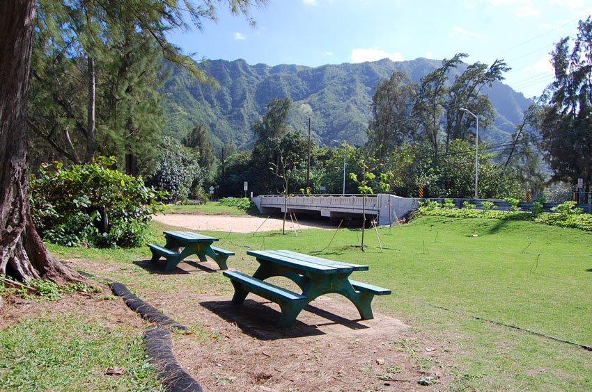 Picnic Tables