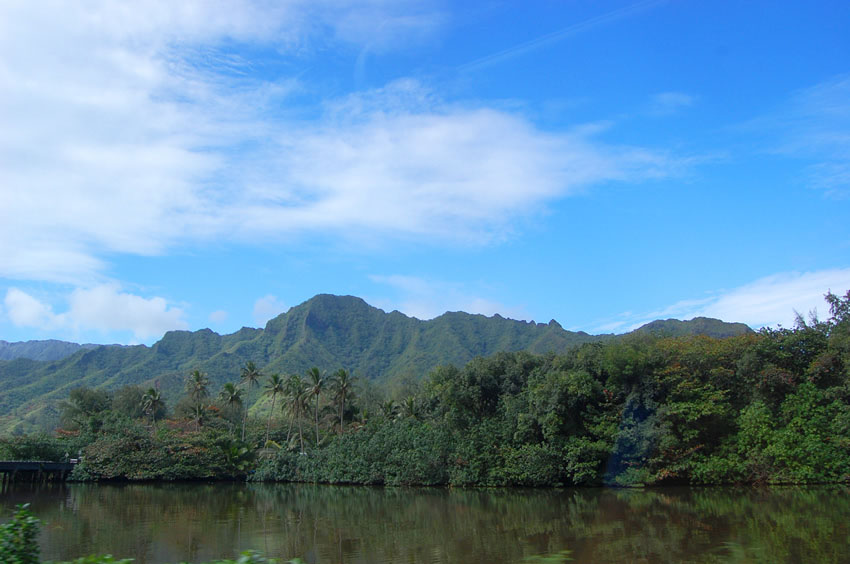 View from Kamehameha Highway