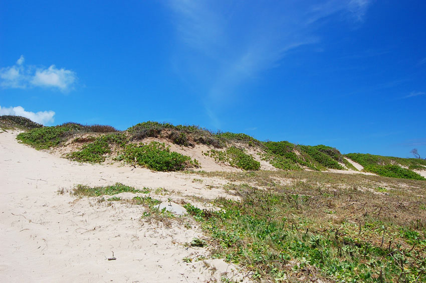 Beachfront Scenery