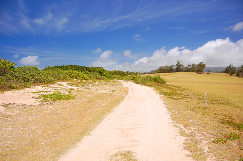 Dirt Road Close to the Beach