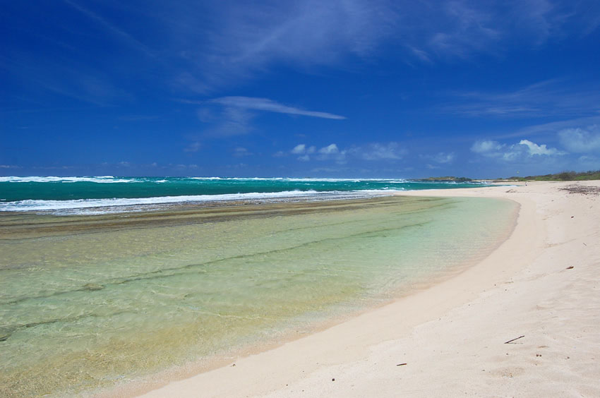 Kahuku Beach 3