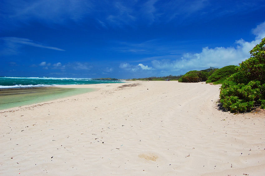 Long White Sand Beach