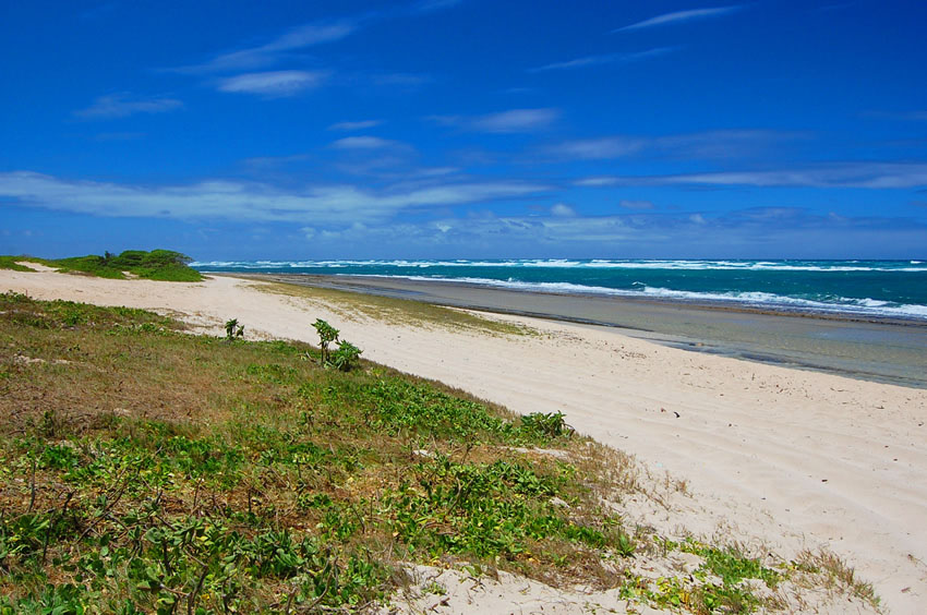 Looking North