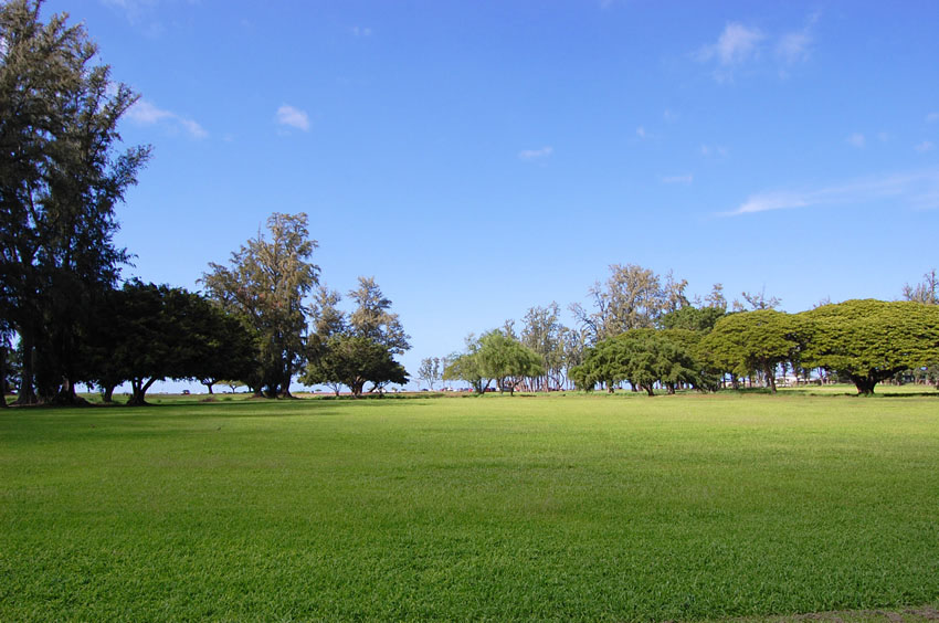 Large Park