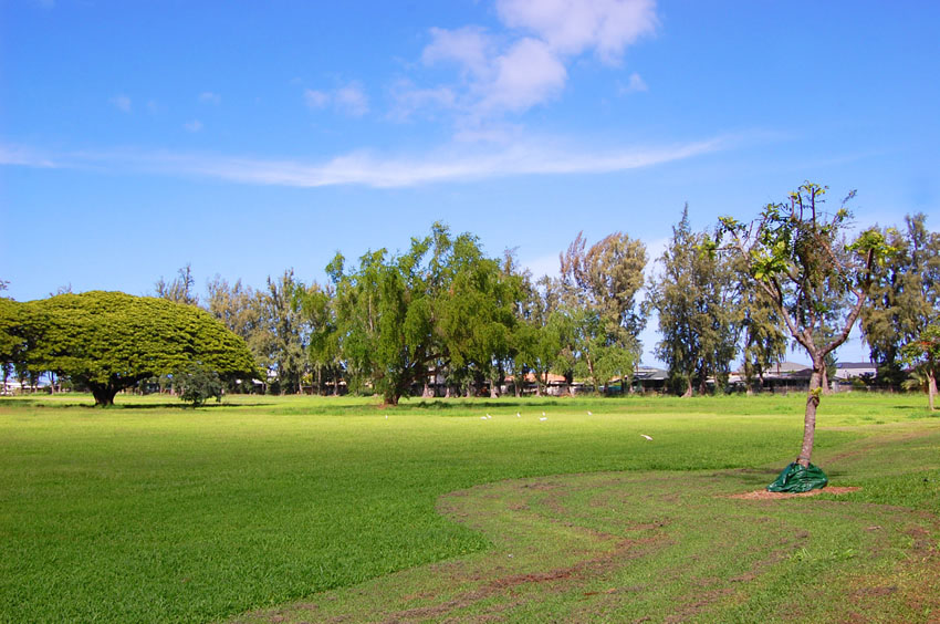Park View