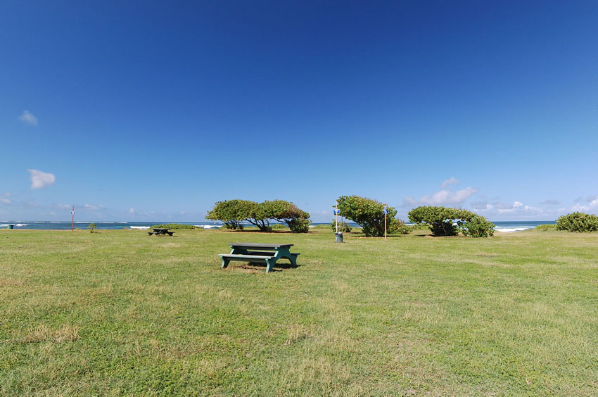 Picnic Area