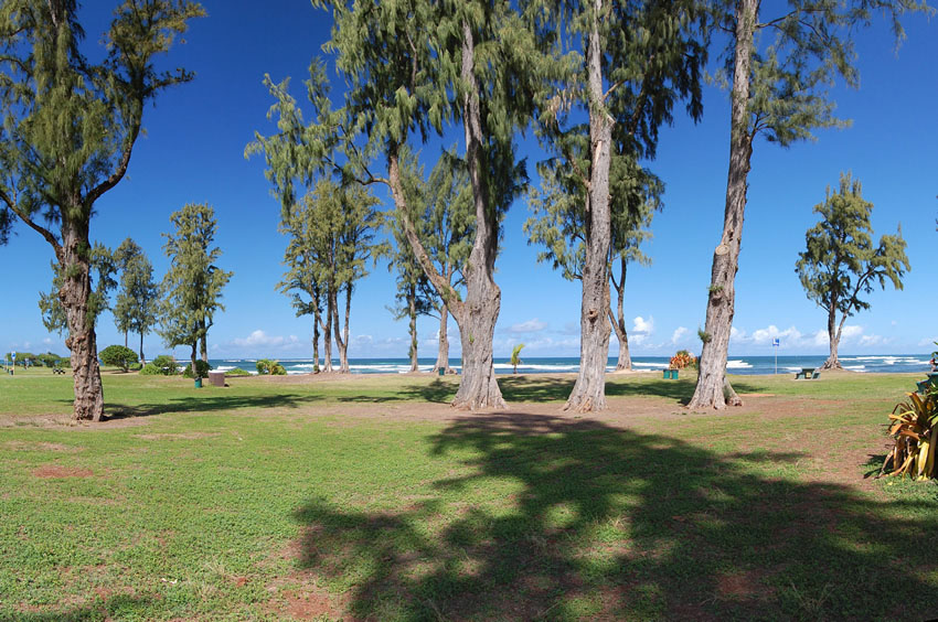 View to the Park