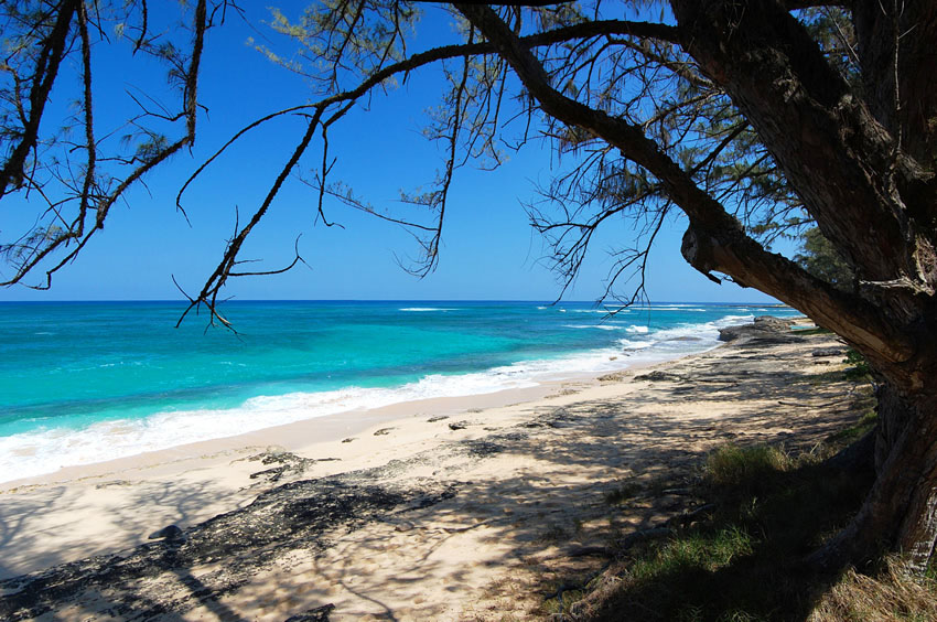 Scenic Beach 2
