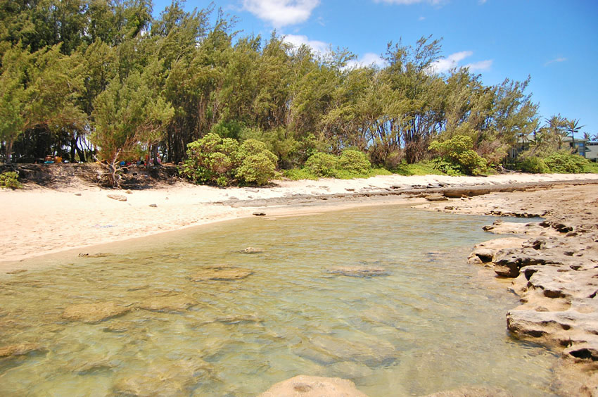 Shallow Lava Pool