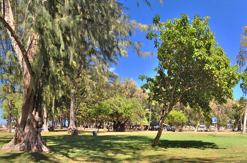 Walkway Through Beach Park