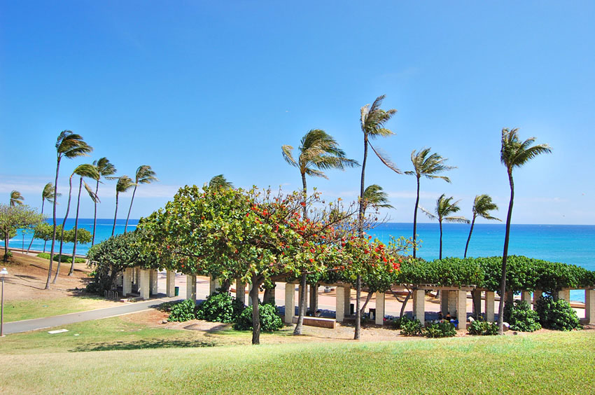 Kaka'ako Waterfront Park