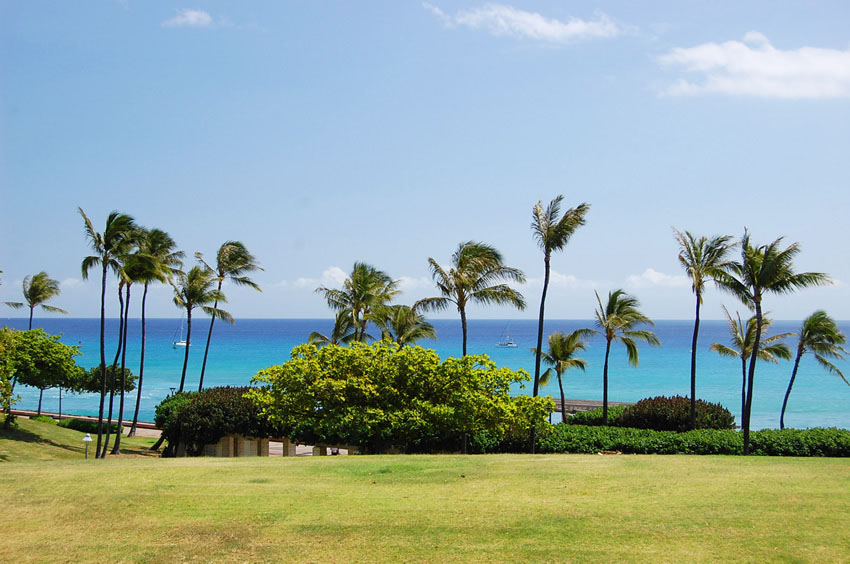 Kakaako Waterfront Park 04