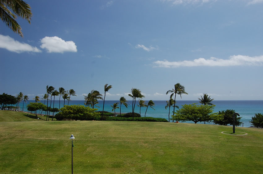 Kakaako Waterfront Park 05
