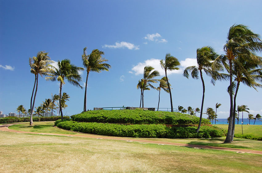 Kakaako Waterfront Park 06