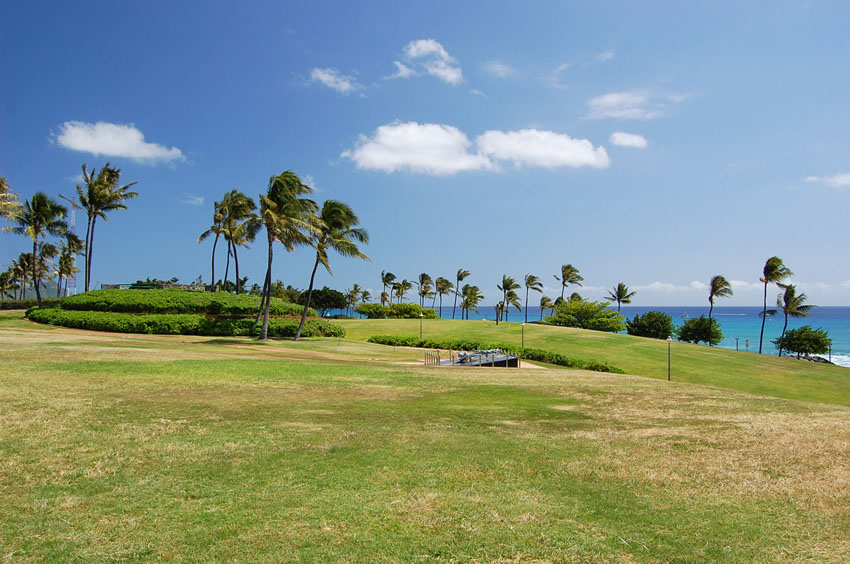 Kakaako Waterfront Park 07