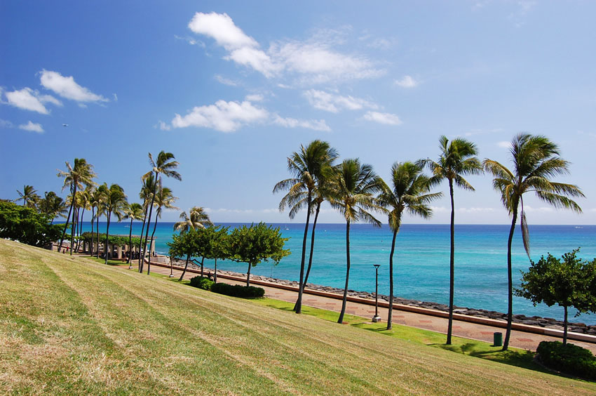 Kakaako Waterfront Park 09