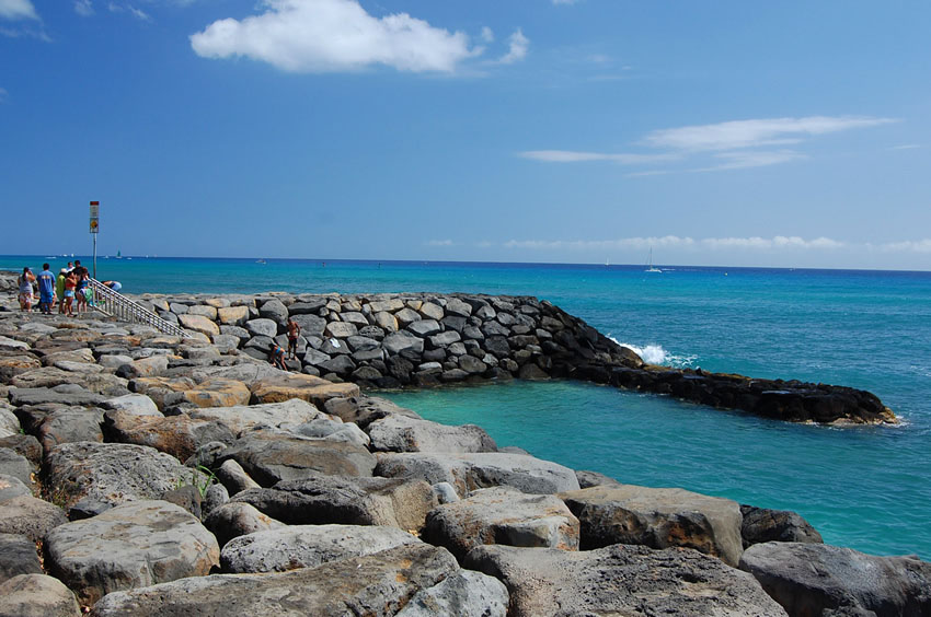 Kakaako Waterfront Park 11