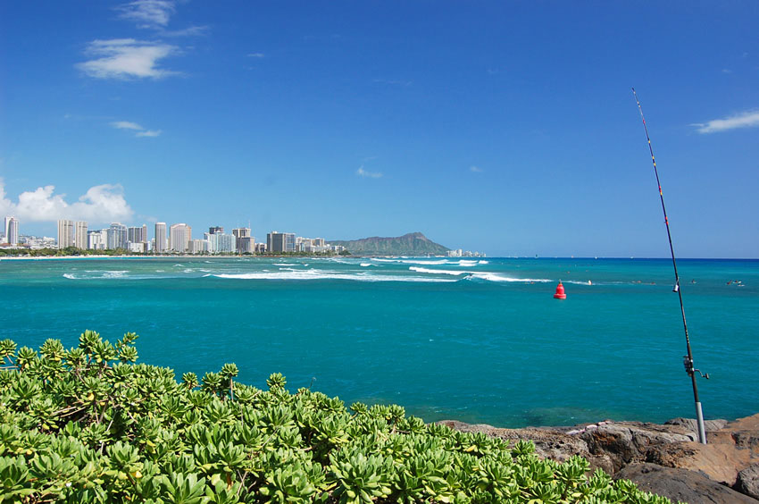 Kakaako Waterfront Park 14