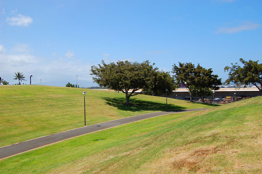 Large Park