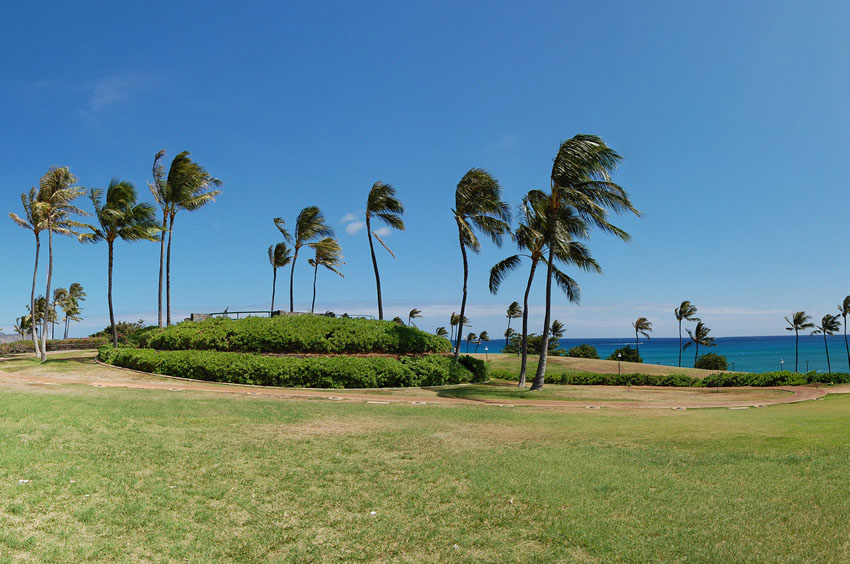 Scenic View from the Park
