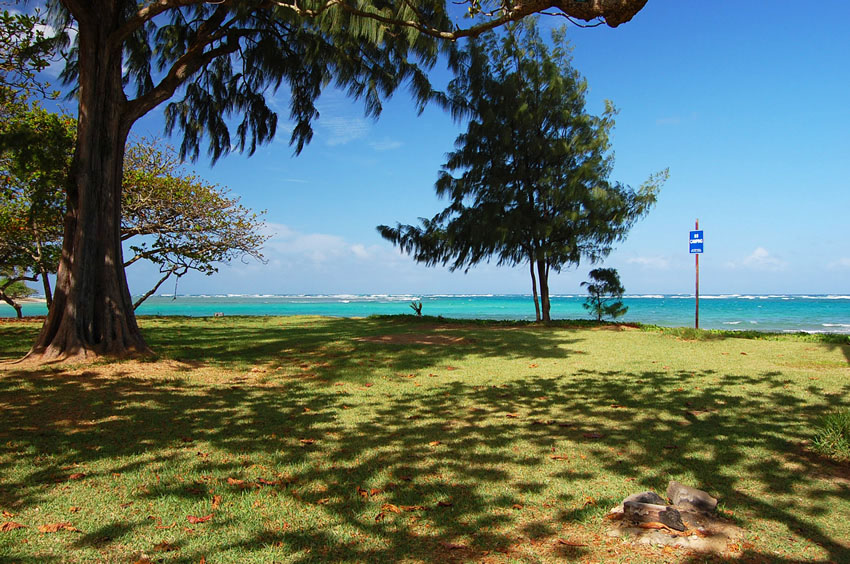 Beachfront Scenery 1