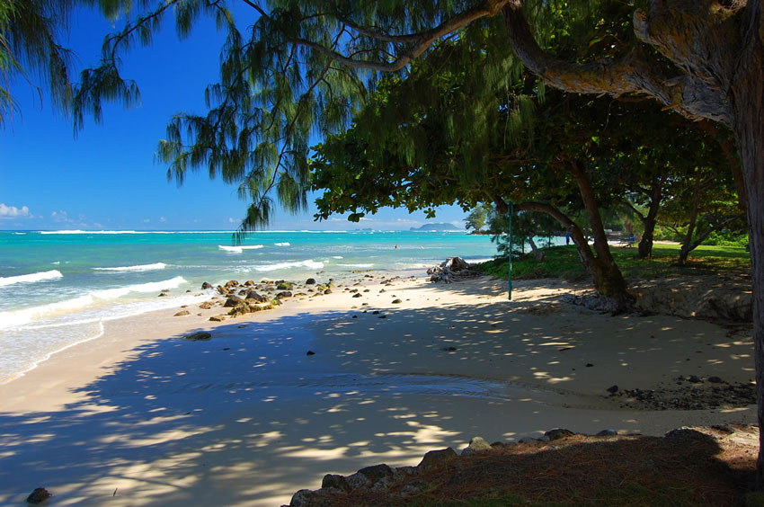 Beachfront Scenery 2