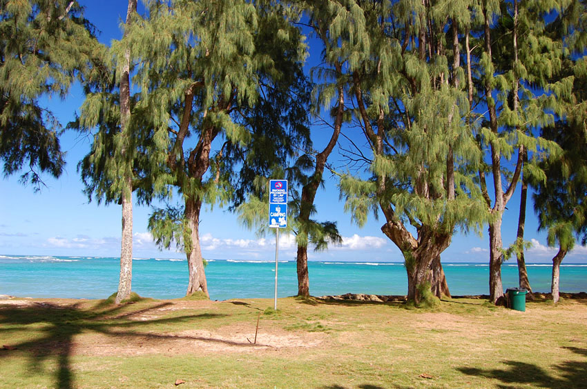 Park Area