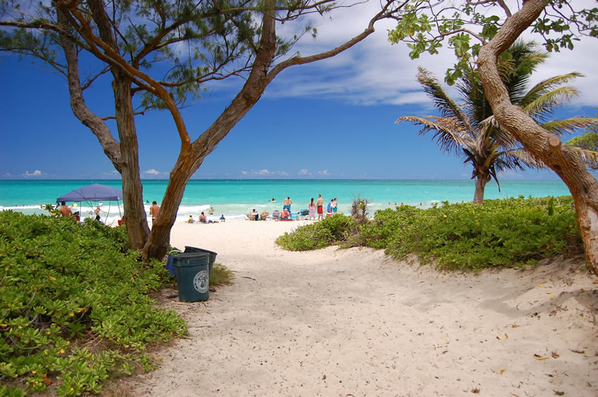 Walkway to the Beach