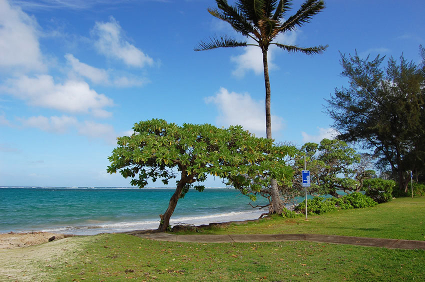 Beach Park in Punaluu