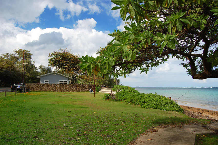 Northern Part of the Park