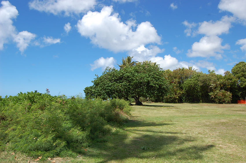 Green Park