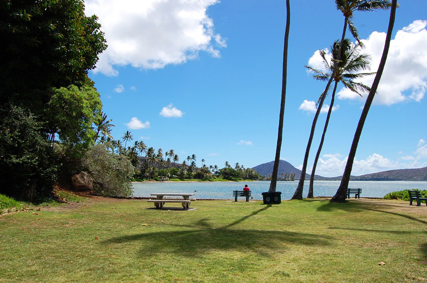 Looking Toward Koko Head