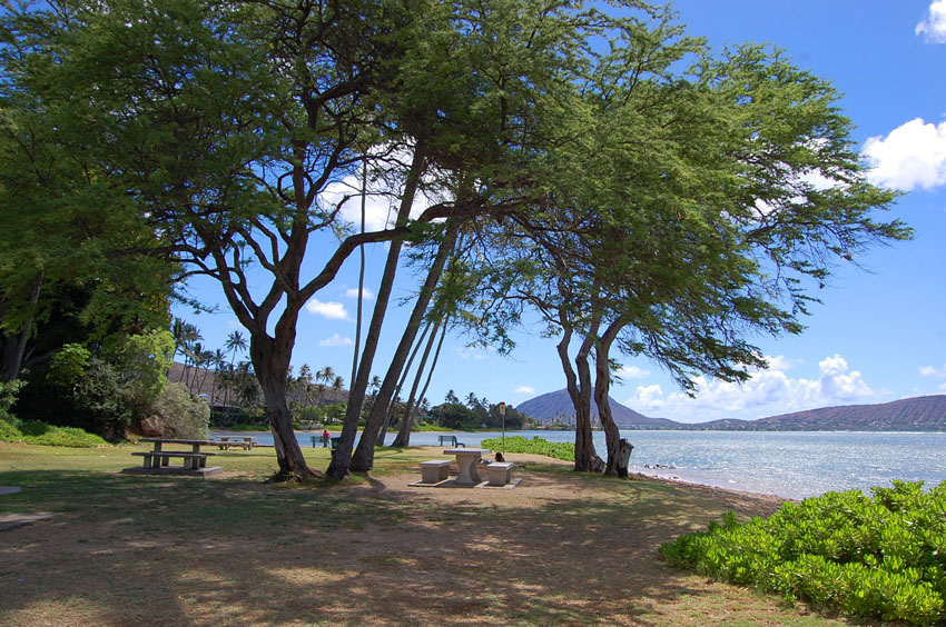 Nice Spot for a Picnic