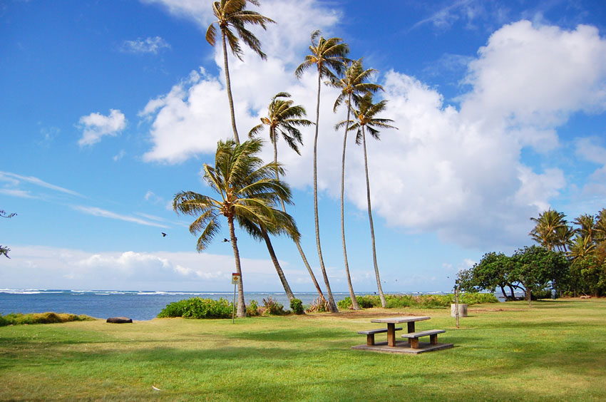 Sunny Day on Oahu's South Shore