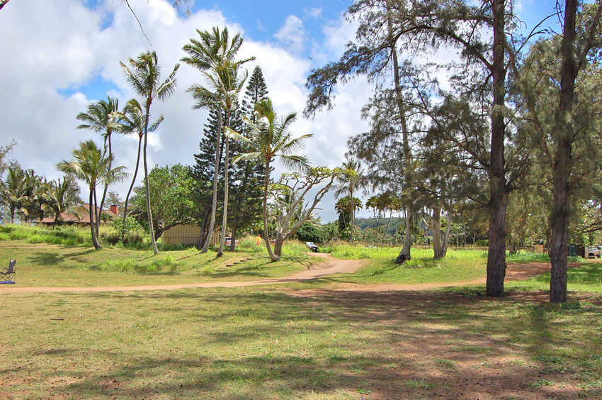 Kawailoa Beach Park