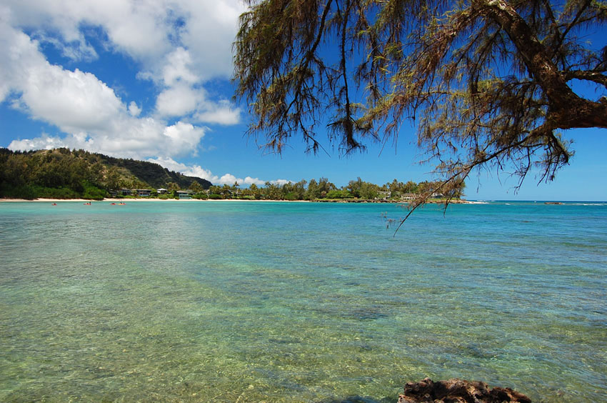 Scenic Cove