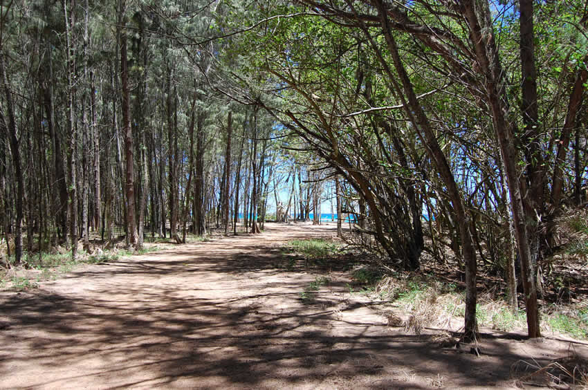 Trail to Kawela Bay 2